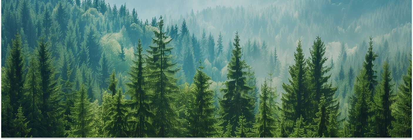 Забота об окружающей среде